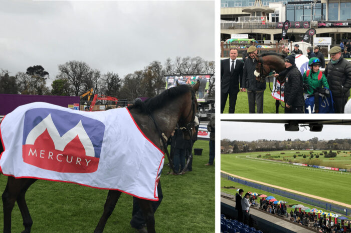 Mercury sponsor Leopardstown Student Race Day 2019