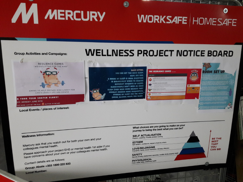 Wellness Board