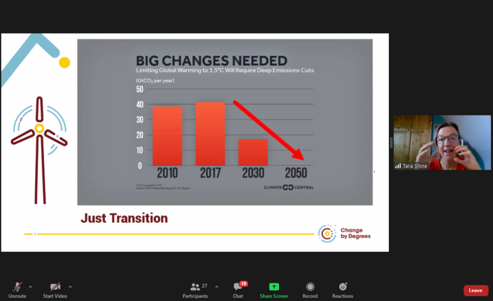 Dr. Tara Shine speaking at Mercury webinar