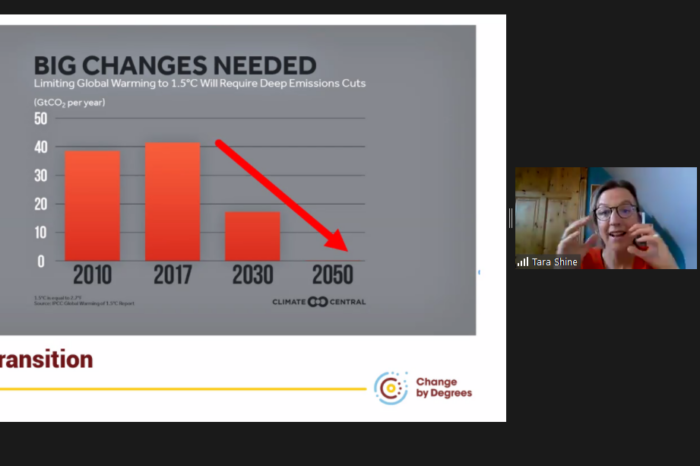 Dr. Tara Shine speaking at Mercury webinar