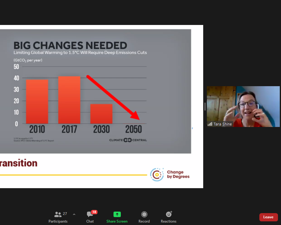 Dr. Tara Shine speaking at Mercury webinar